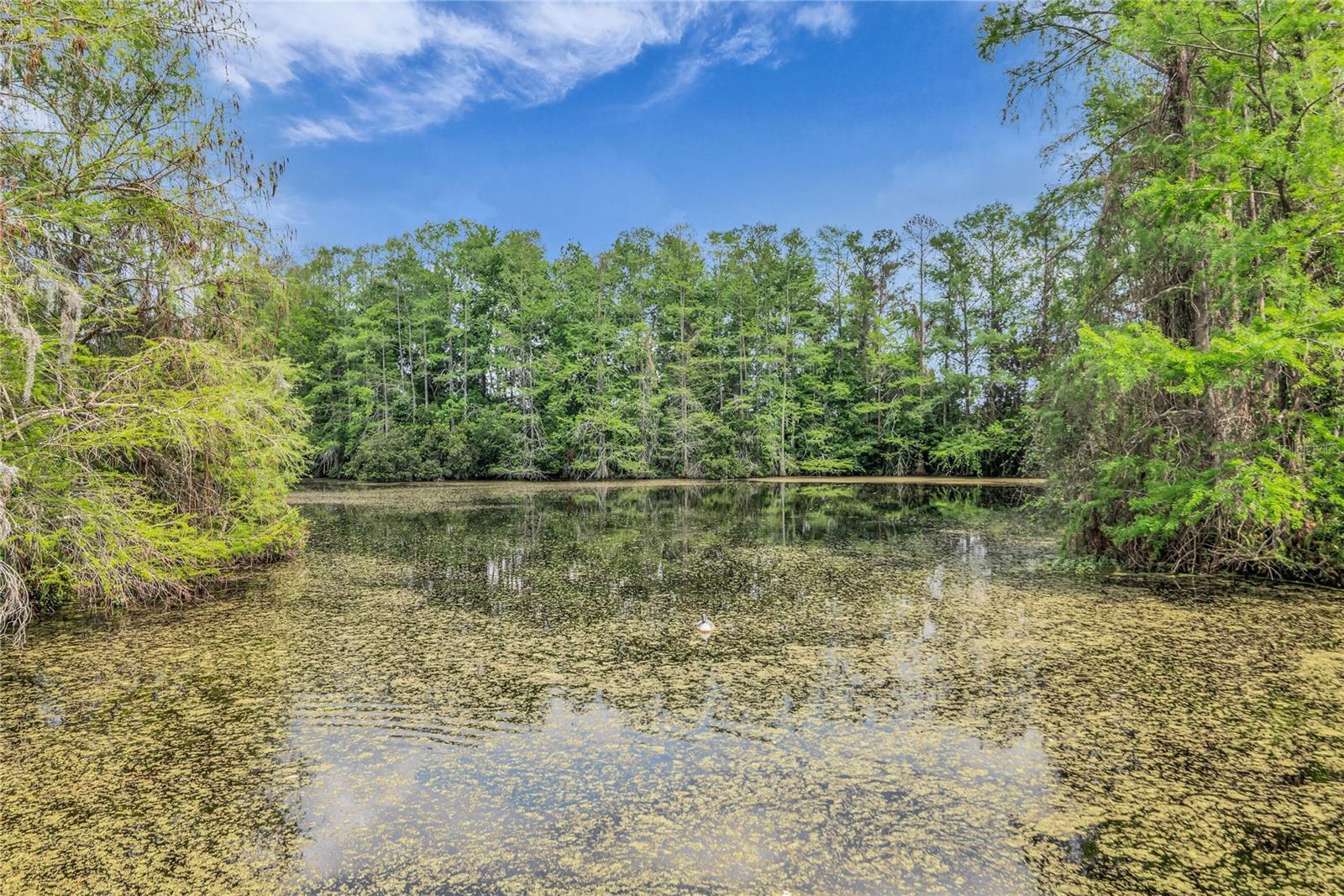 4830 S SEMORAN BLVD #1108, ORLANDO, FL, 32822