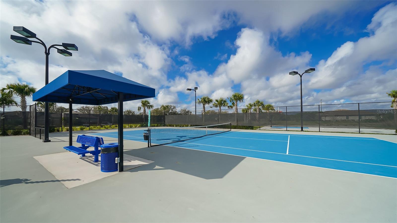 17241 BLUE RIDGE PL, BRADENTON, FL, 34211