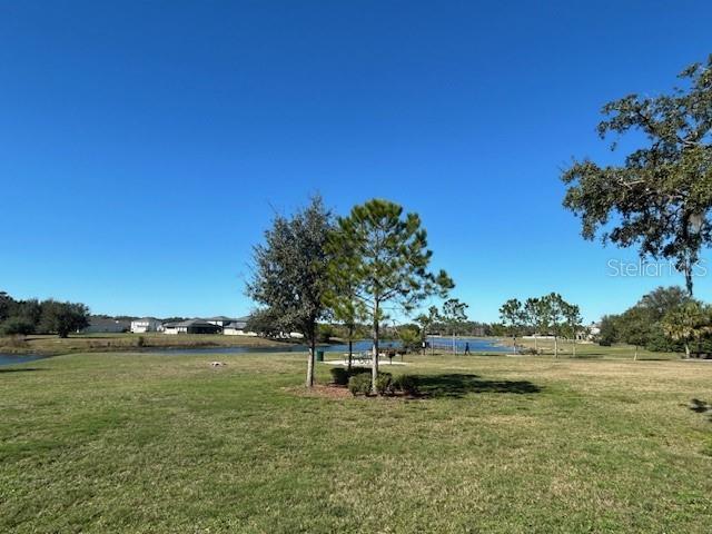 13850 MOOSEHEAD CIR, HUDSON, FL, 34669