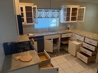 110 CHULA VISTA AVE, THE VILLAGES, FL, 32159