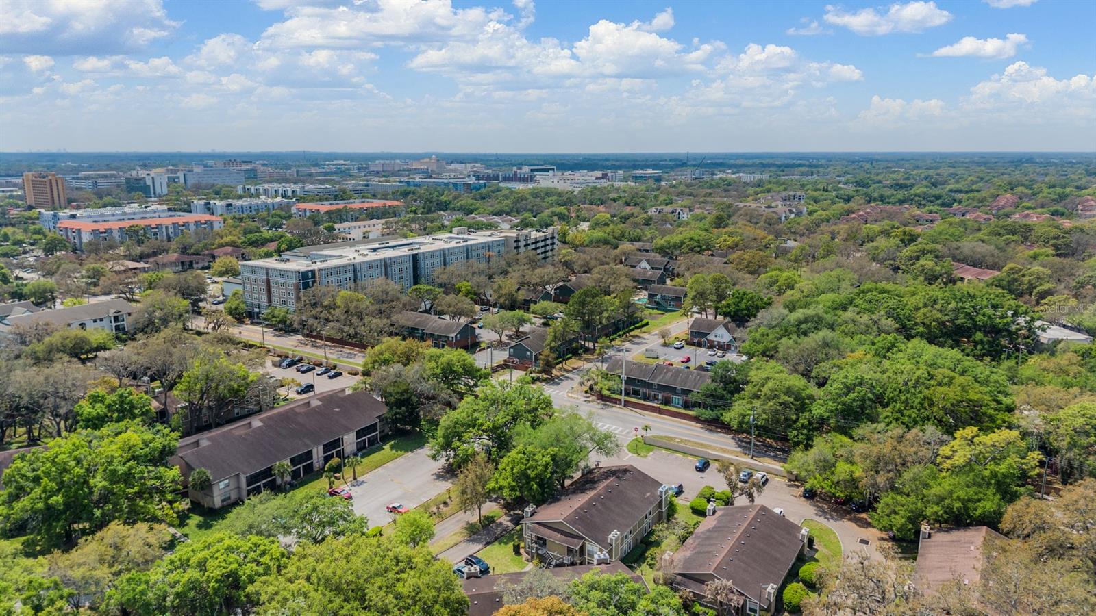 4208 WINDING MOSS TRL #102, TAMPA, FL, 33613
