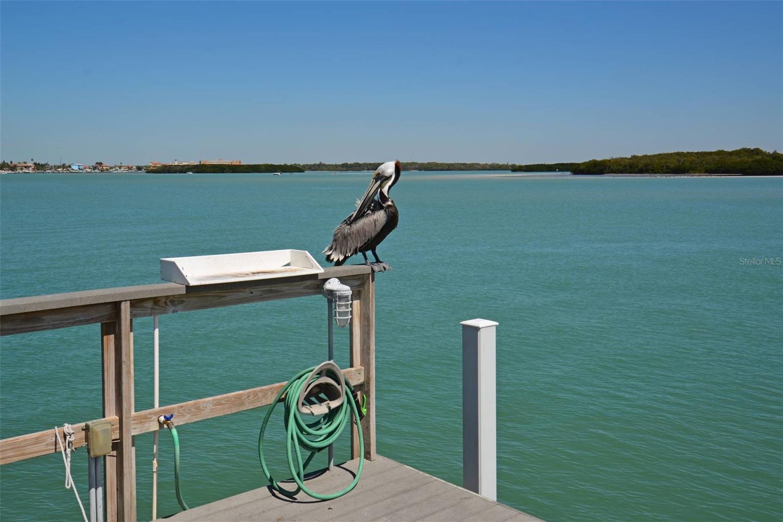 1 KEY CAPRI #102E, TREASURE ISLAND, FL, 33706