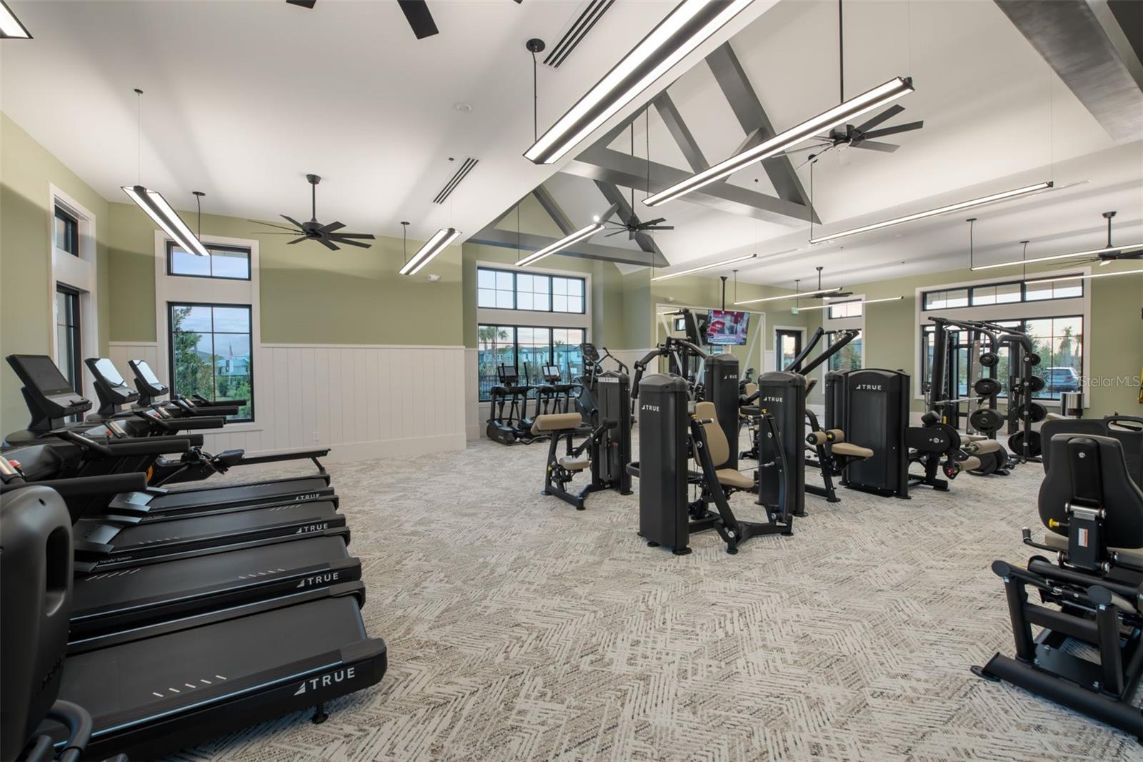 33452 BINDING TIES LN, WESLEY CHAPEL, FL, 33545