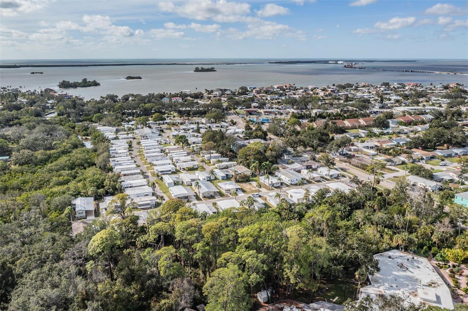 605 MICHIGAN BLVD #118, DUNEDIN, FL, 34698