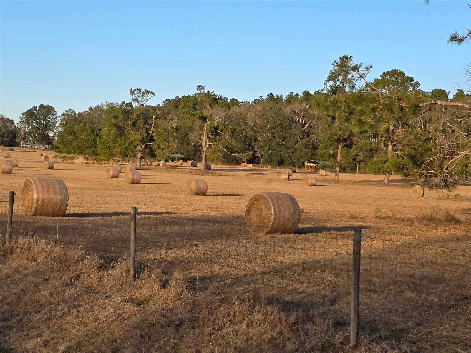 TBD (LOT 2) 55TH PLACE, MC ALPIN, FL, 32062