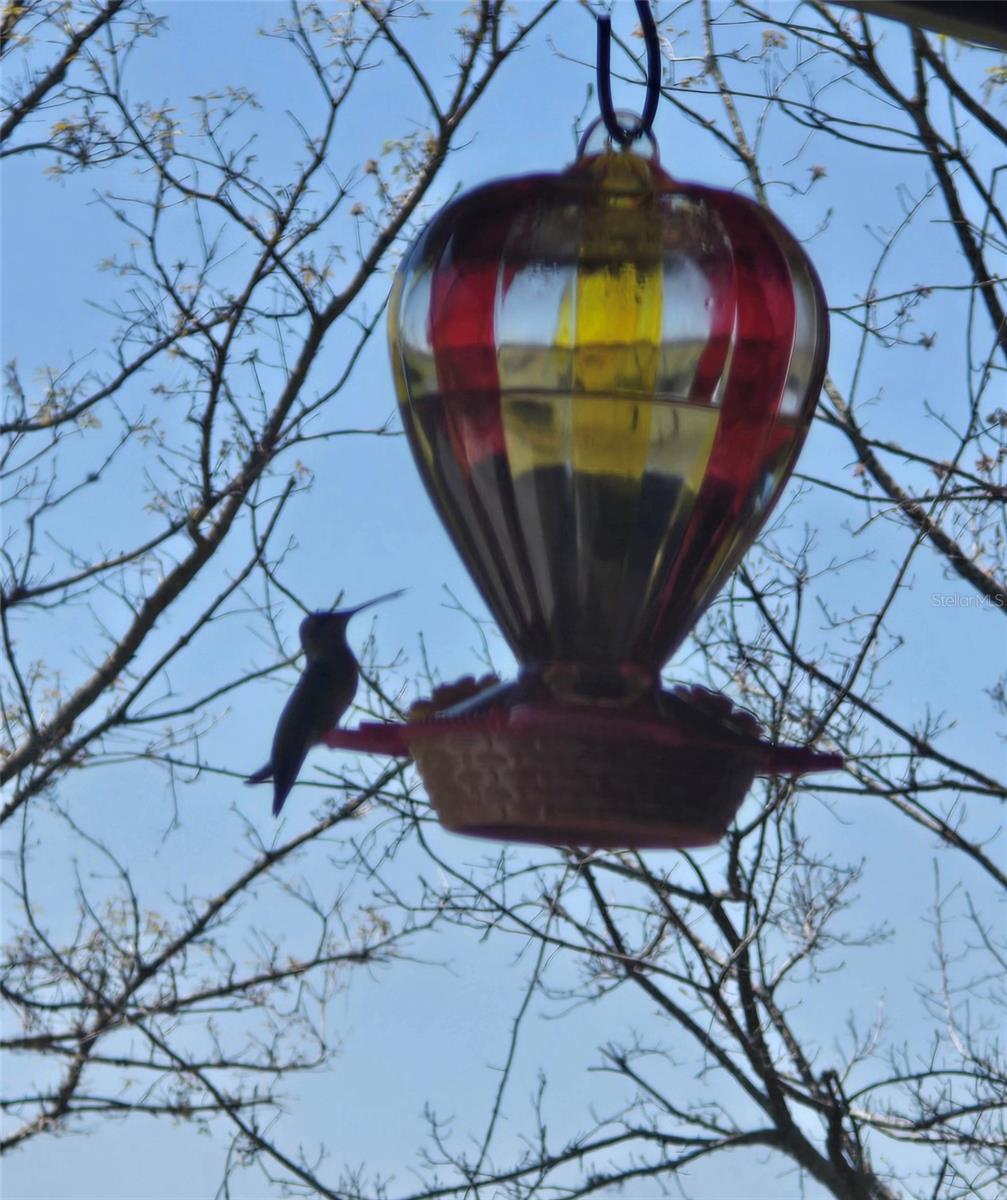 TBD (LOT 2) 55TH PLACE, MC ALPIN, FL, 32062