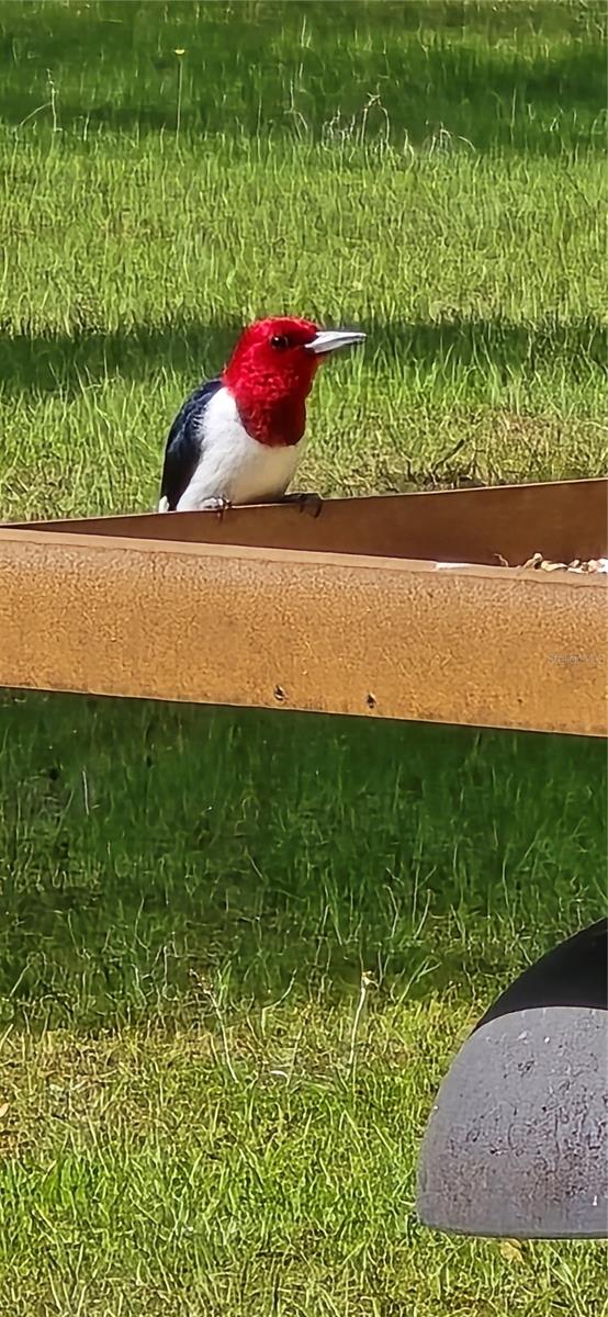 TBD (LOT 2) 55TH PLACE, MC ALPIN, FL, 32062