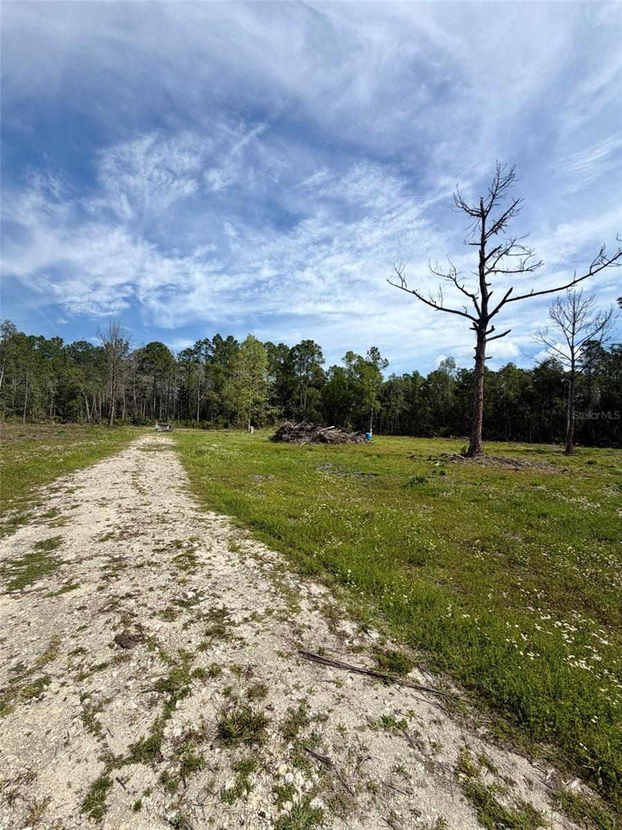 8798 E HIGHWAY 318, CITRA, FL, 32113