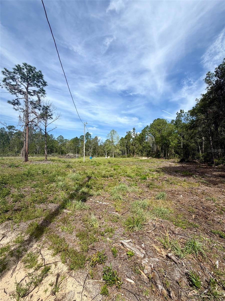 8798 E HIGHWAY 318, CITRA, FL, 32113