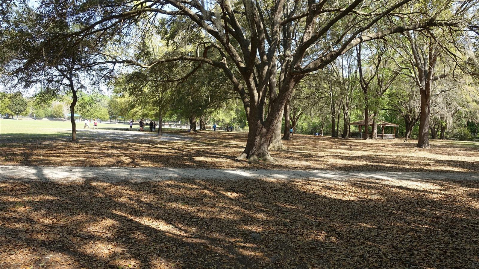 4910 NW 39TH TER NW, GAINESVILLE, FL, 32606