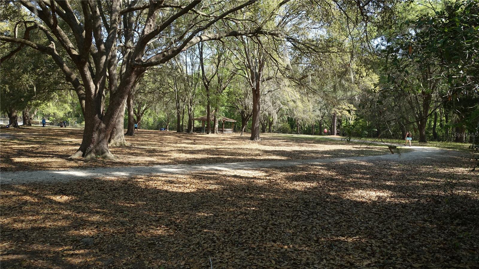 4910 NW 39TH TER NW, GAINESVILLE, FL, 32606