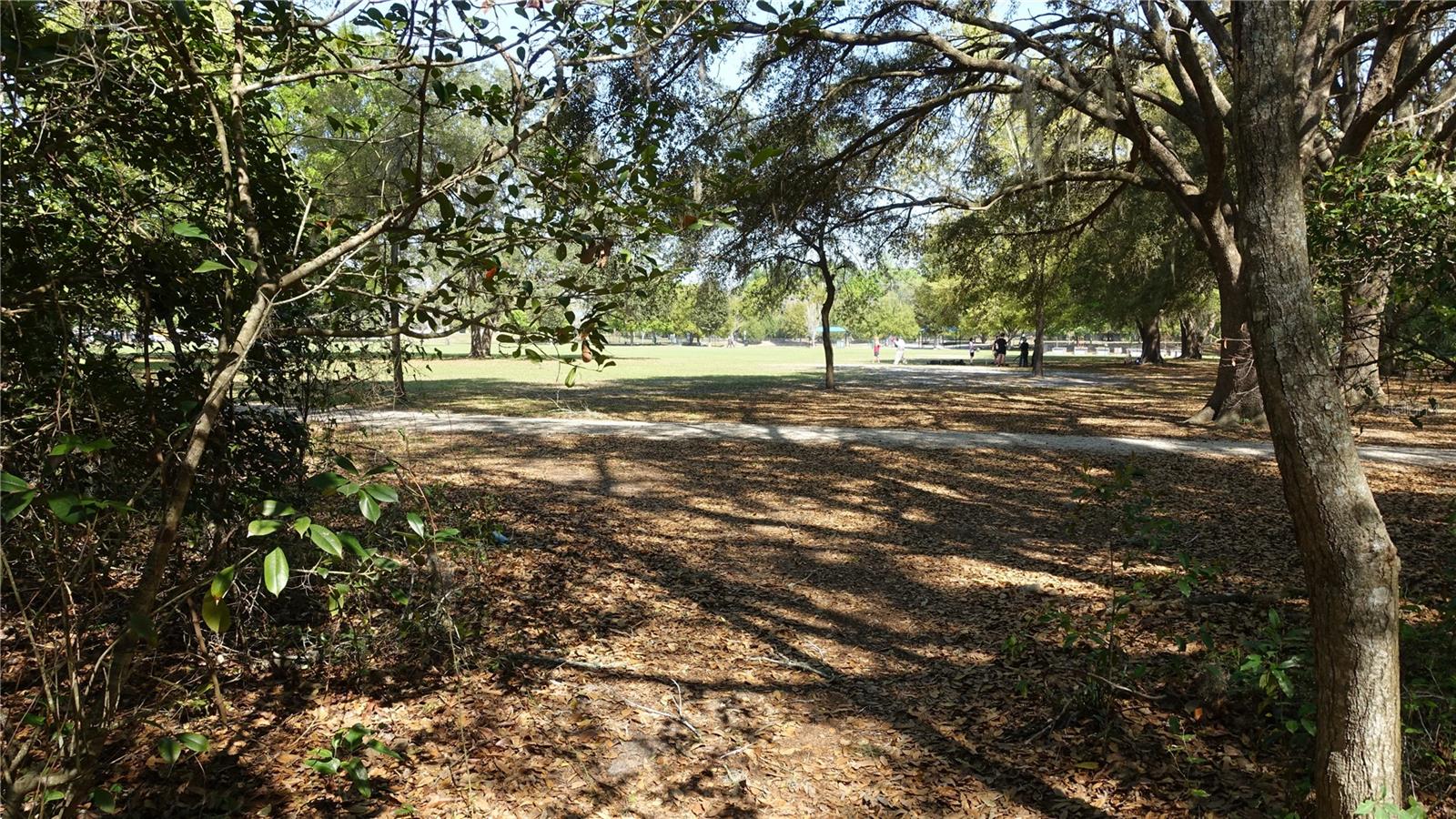 4910 NW 39TH TER NW, GAINESVILLE, FL, 32606