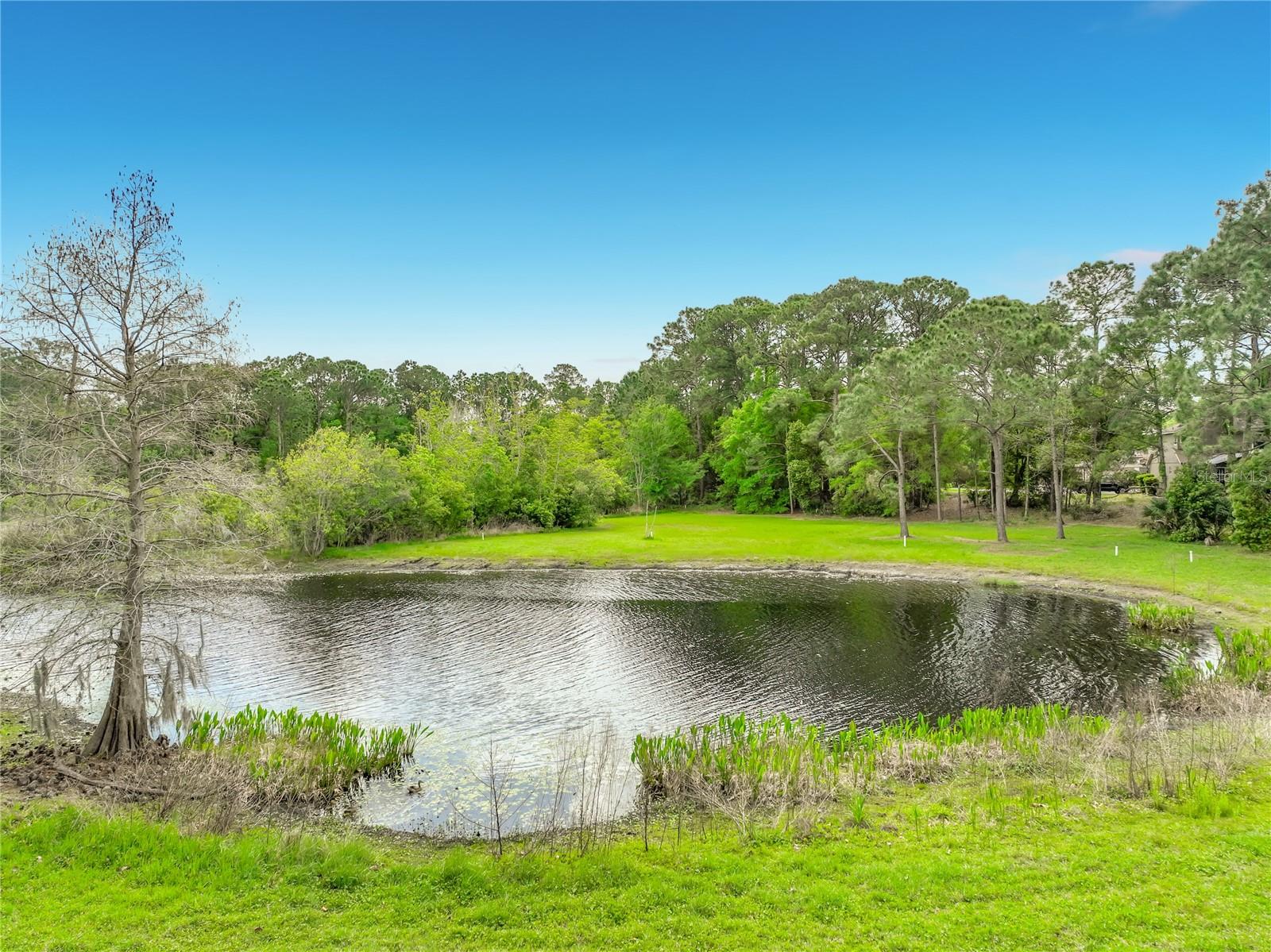 949 PICKFAIR TER, LAKE MARY, FL, 32746