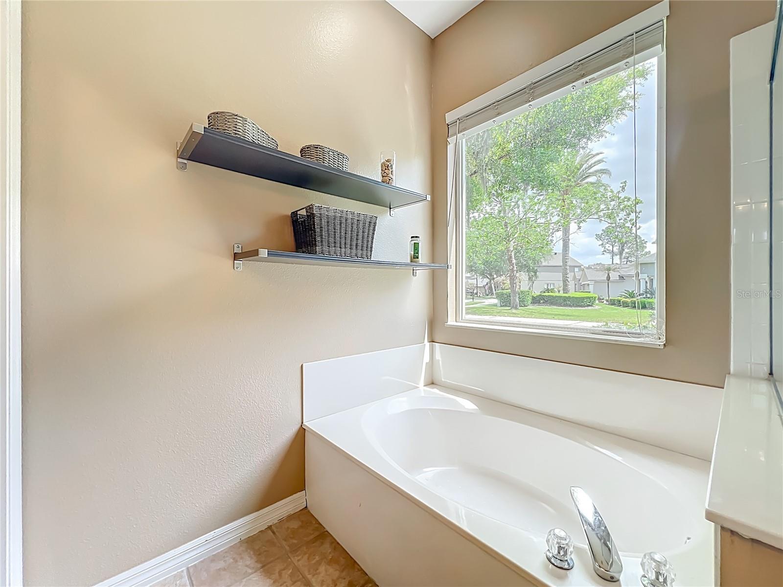 949 PICKFAIR TER, LAKE MARY, FL, 32746