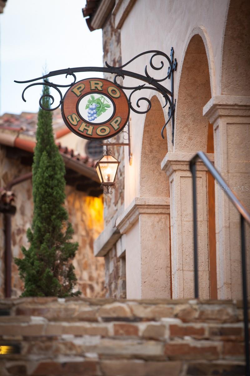 16132 VOLTERRA PT, MONTVERDE, FL, 34756