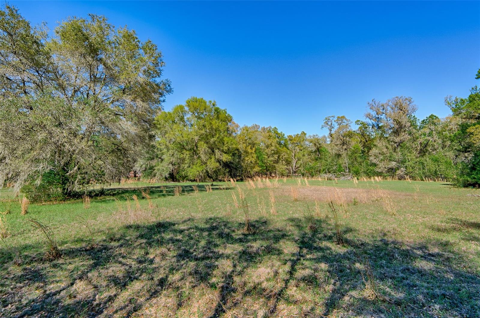 2126 NW 170 ST, NEWBERRY, FL, 32669