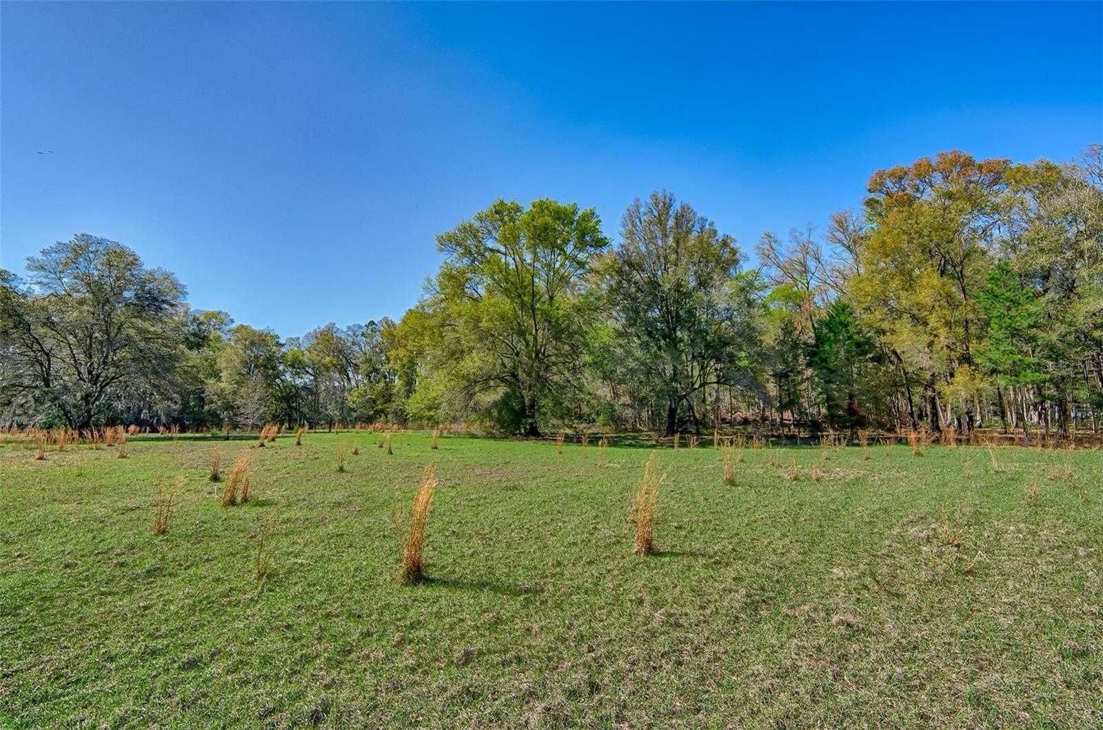 2126 NW 170 ST, NEWBERRY, FL, 32669