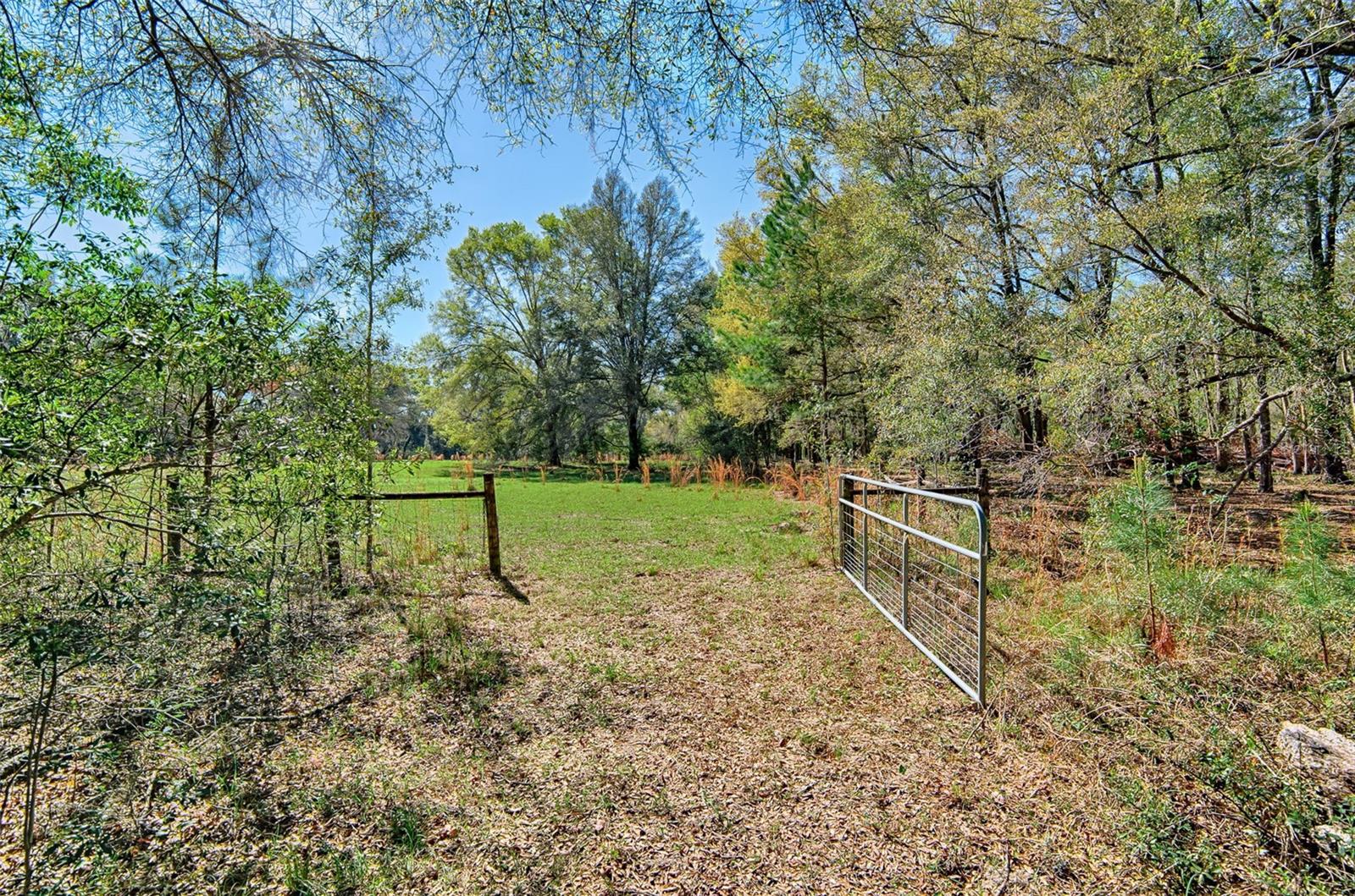 2126 NW 170 ST, NEWBERRY, FL, 32669