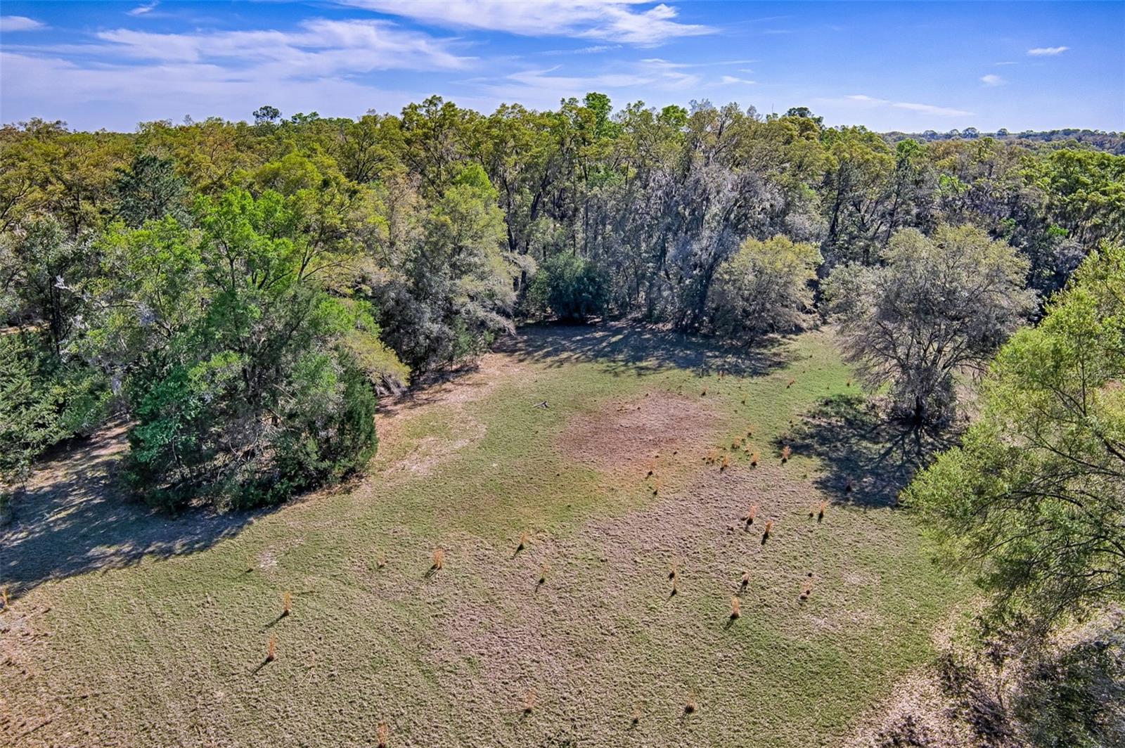 2126 NW 170 ST, NEWBERRY, FL, 32669
