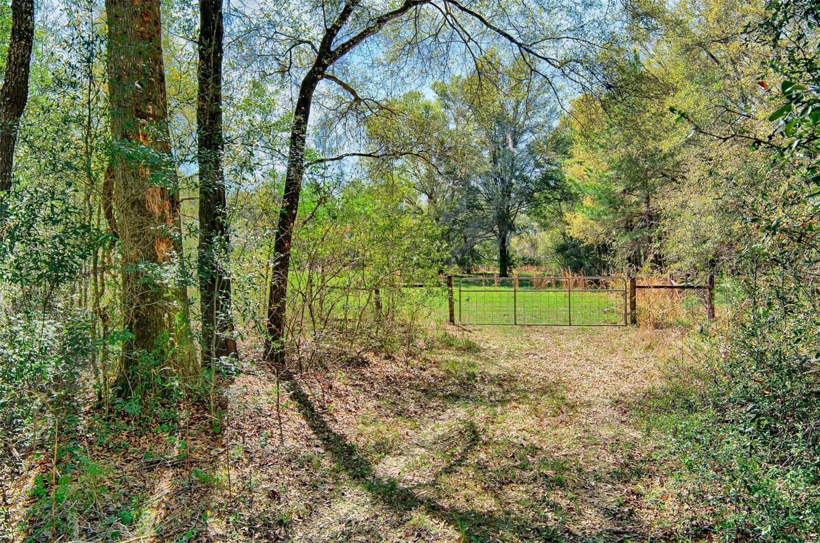 2126 NW 170 ST, NEWBERRY, FL, 32669