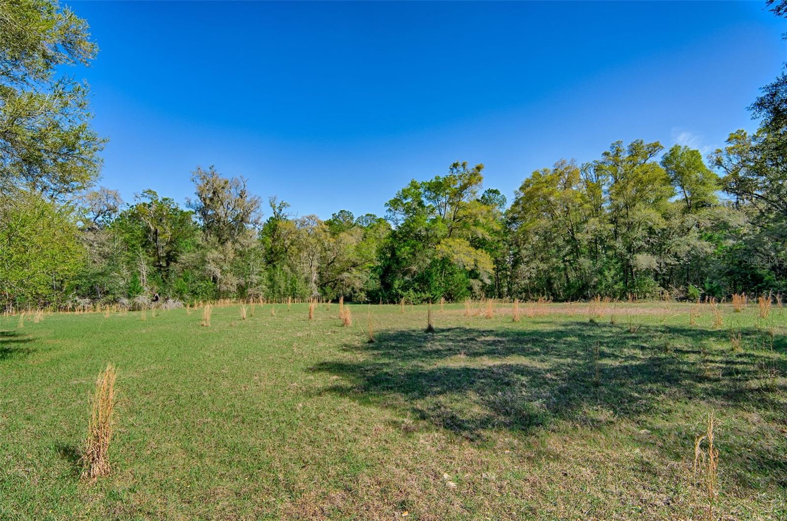 2126 NW 170 ST, NEWBERRY, FL, 32669