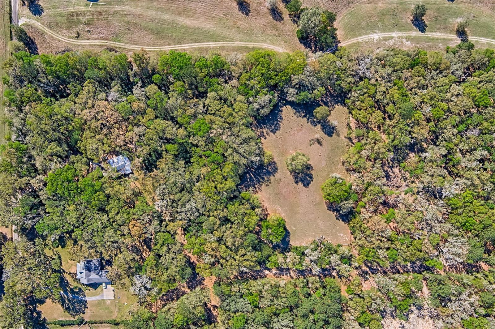 2126 NW 170 ST, NEWBERRY, FL, 32669