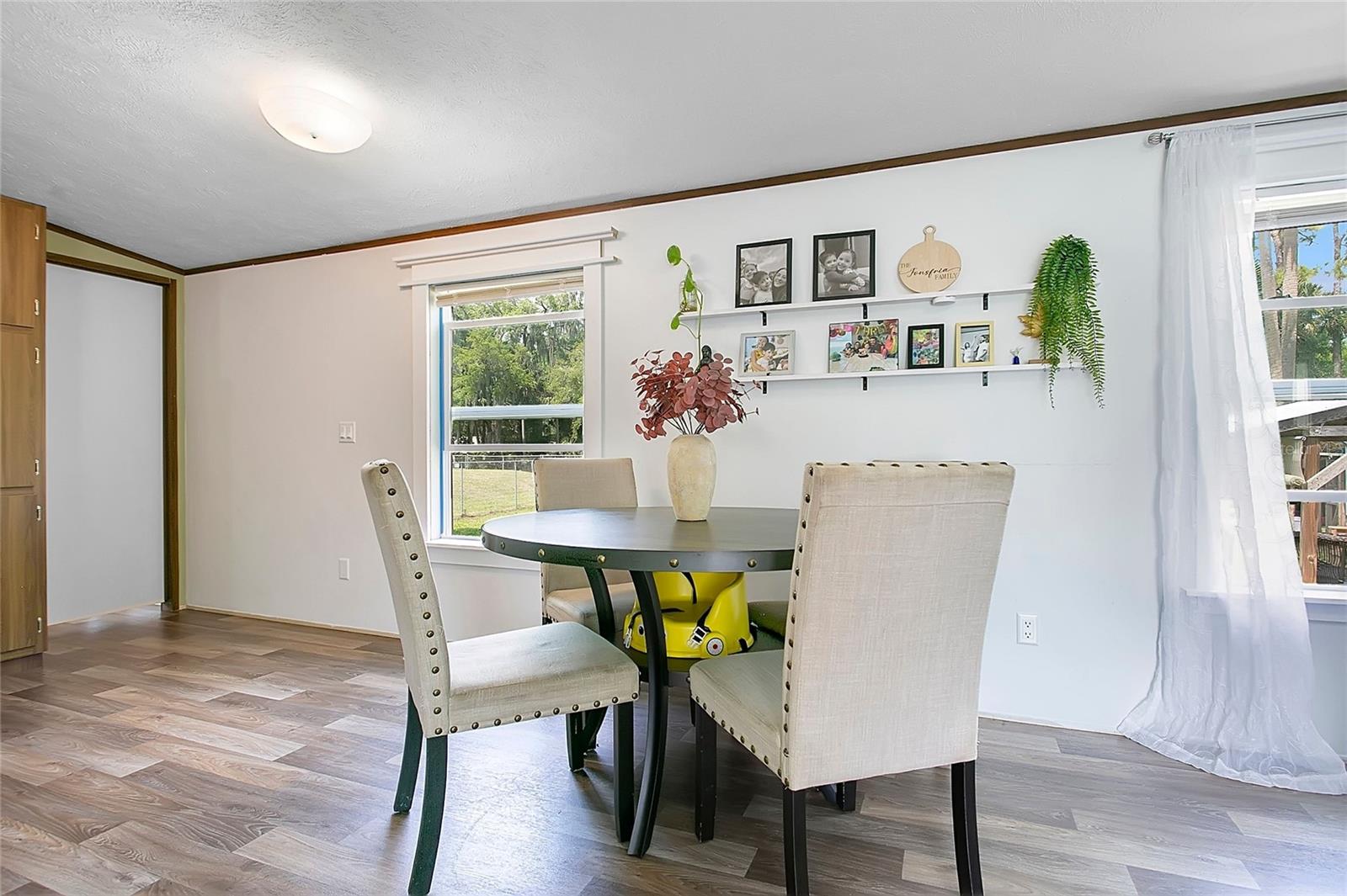 25117 ANTLER, CHRISTMAS, FL, 32709