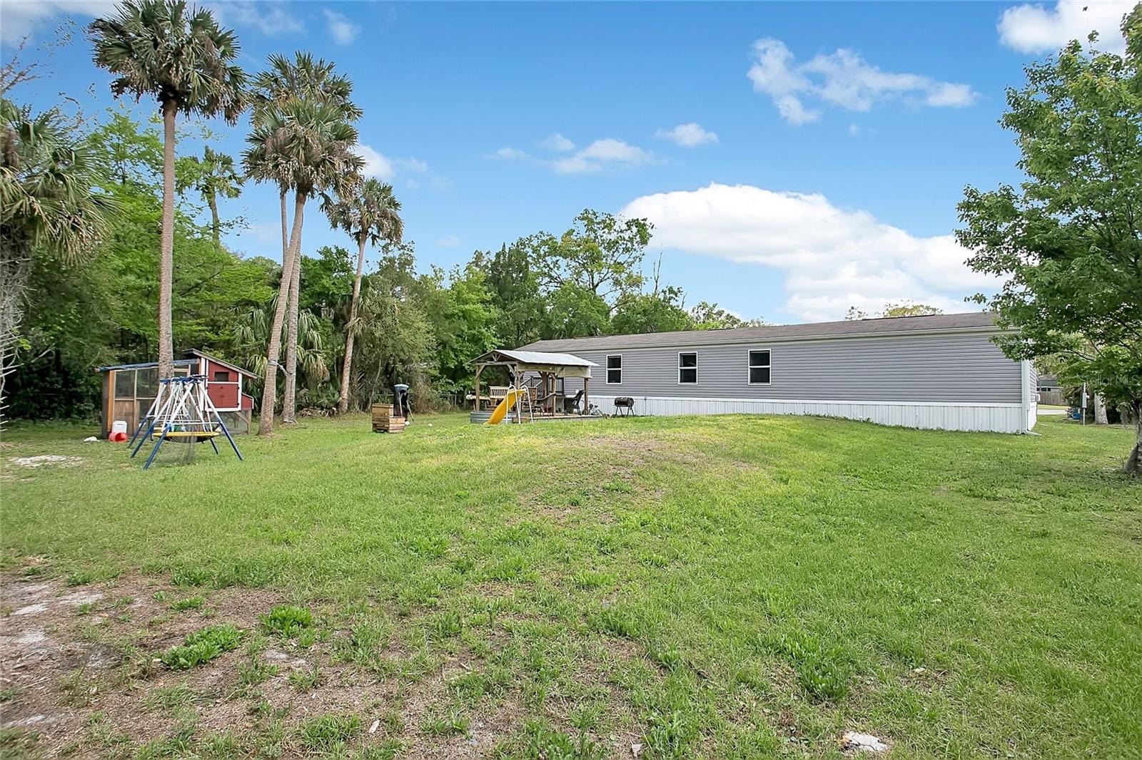25117 ANTLER, CHRISTMAS, FL, 32709