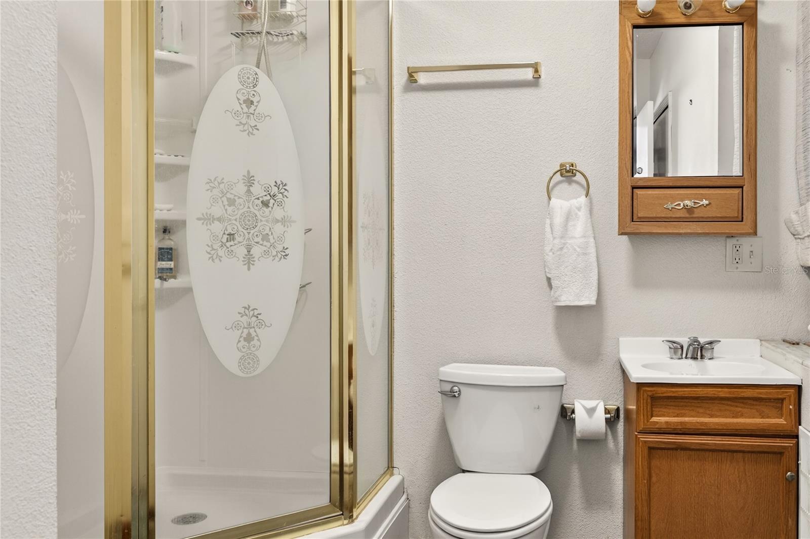 11449 OCKLAWAHA DR, LEESBURG, FL, 34788