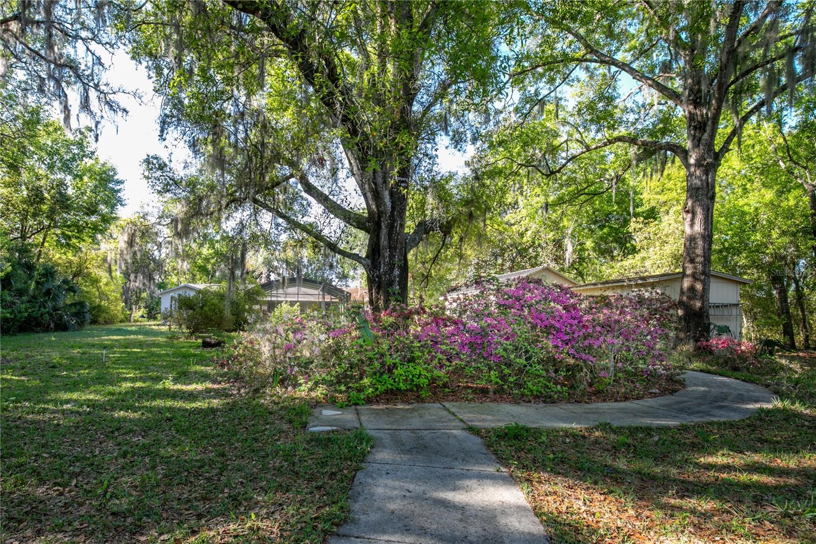 11449 OCKLAWAHA DR, LEESBURG, FL, 34788