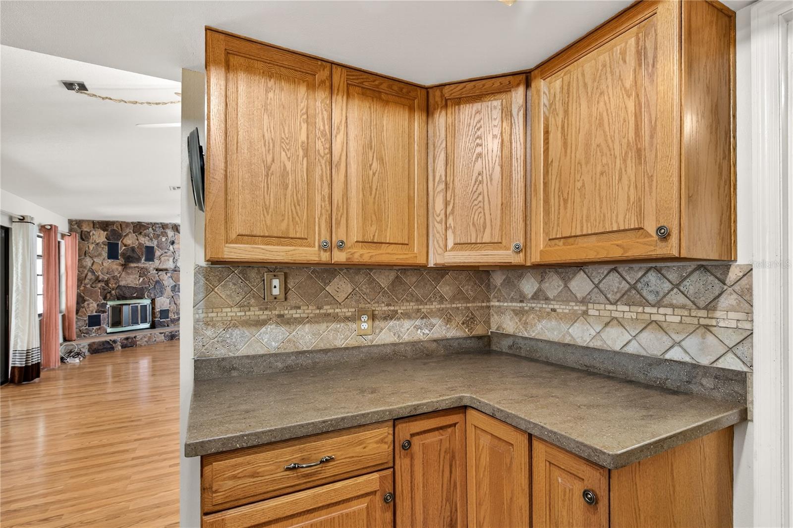 11449 OCKLAWAHA DR, LEESBURG, FL, 34788