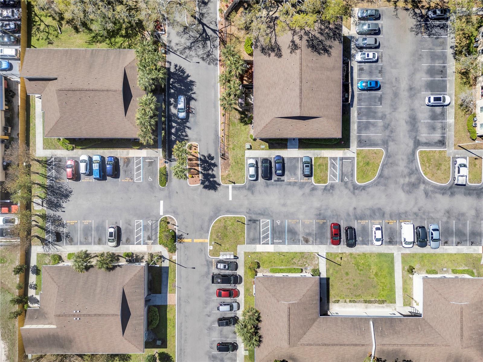 209 RED CEDAR PL #209, BRANDON, FL, 33510