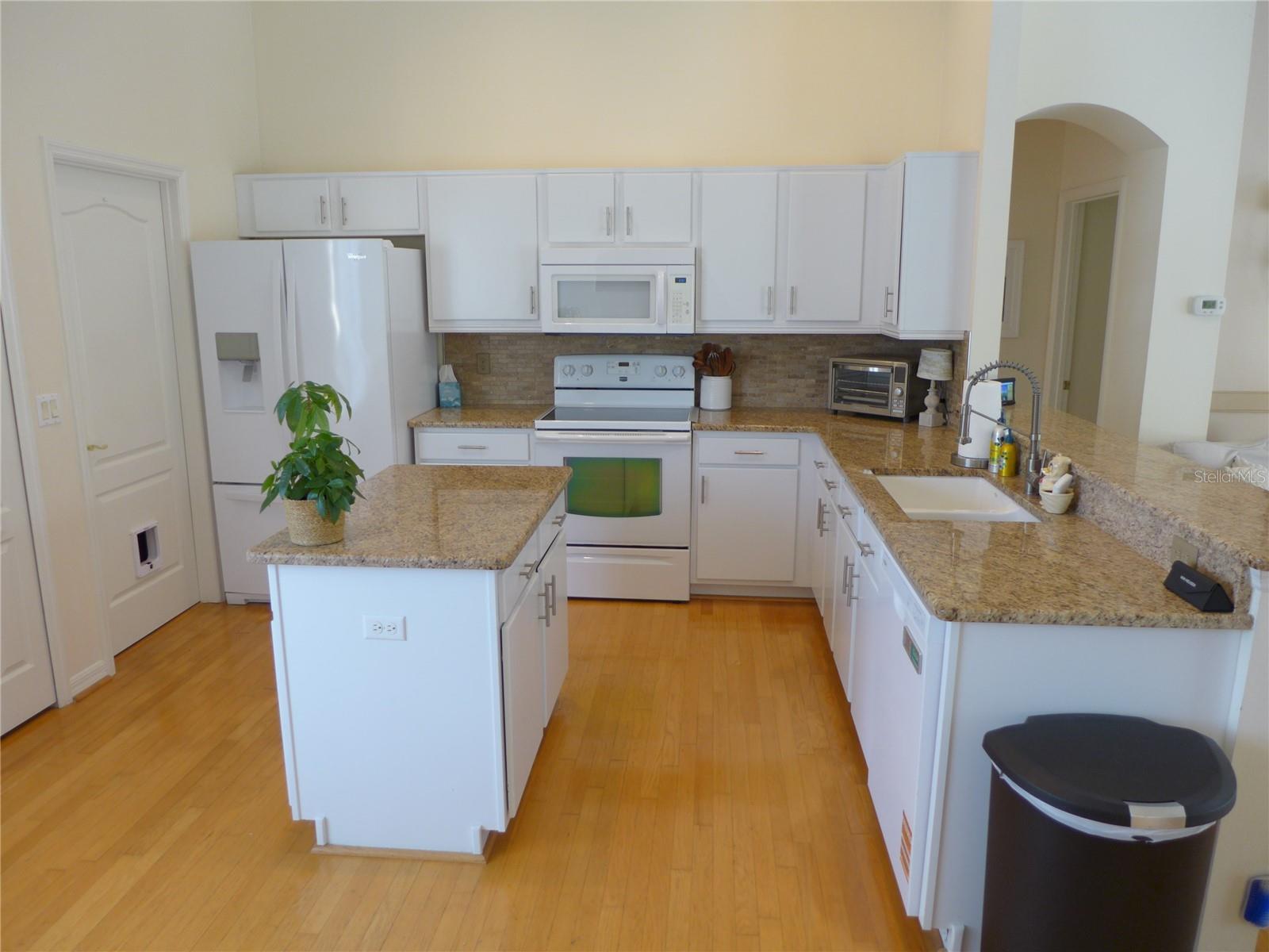 9003 OAKCREST CIR, MOUNT DORA, FL, 32757