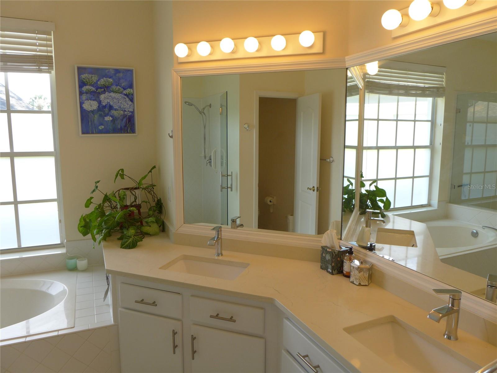 9003 OAKCREST CIR, MOUNT DORA, FL, 32757