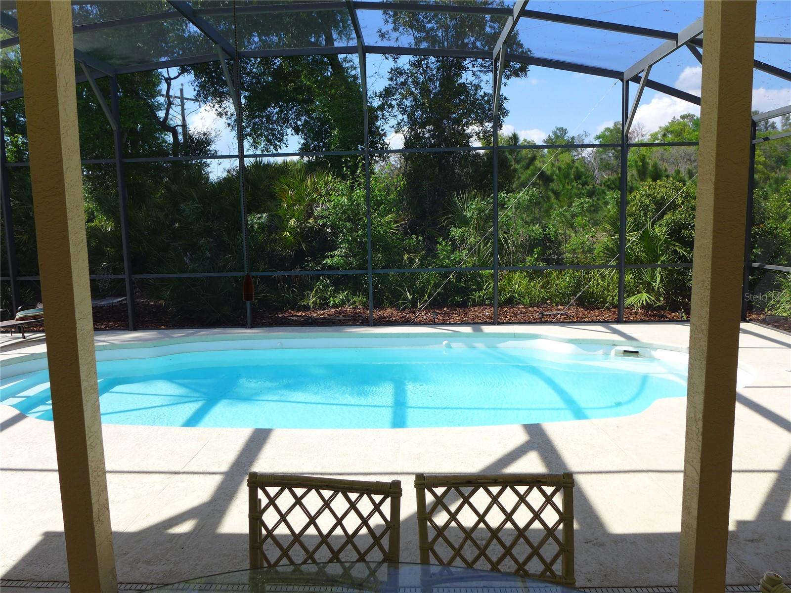 9003 OAKCREST CIR, MOUNT DORA, FL, 32757
