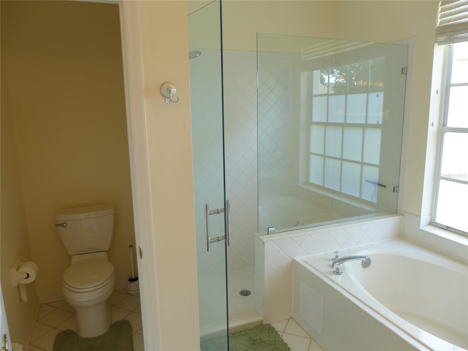 9003 OAKCREST CIR, MOUNT DORA, FL, 32757