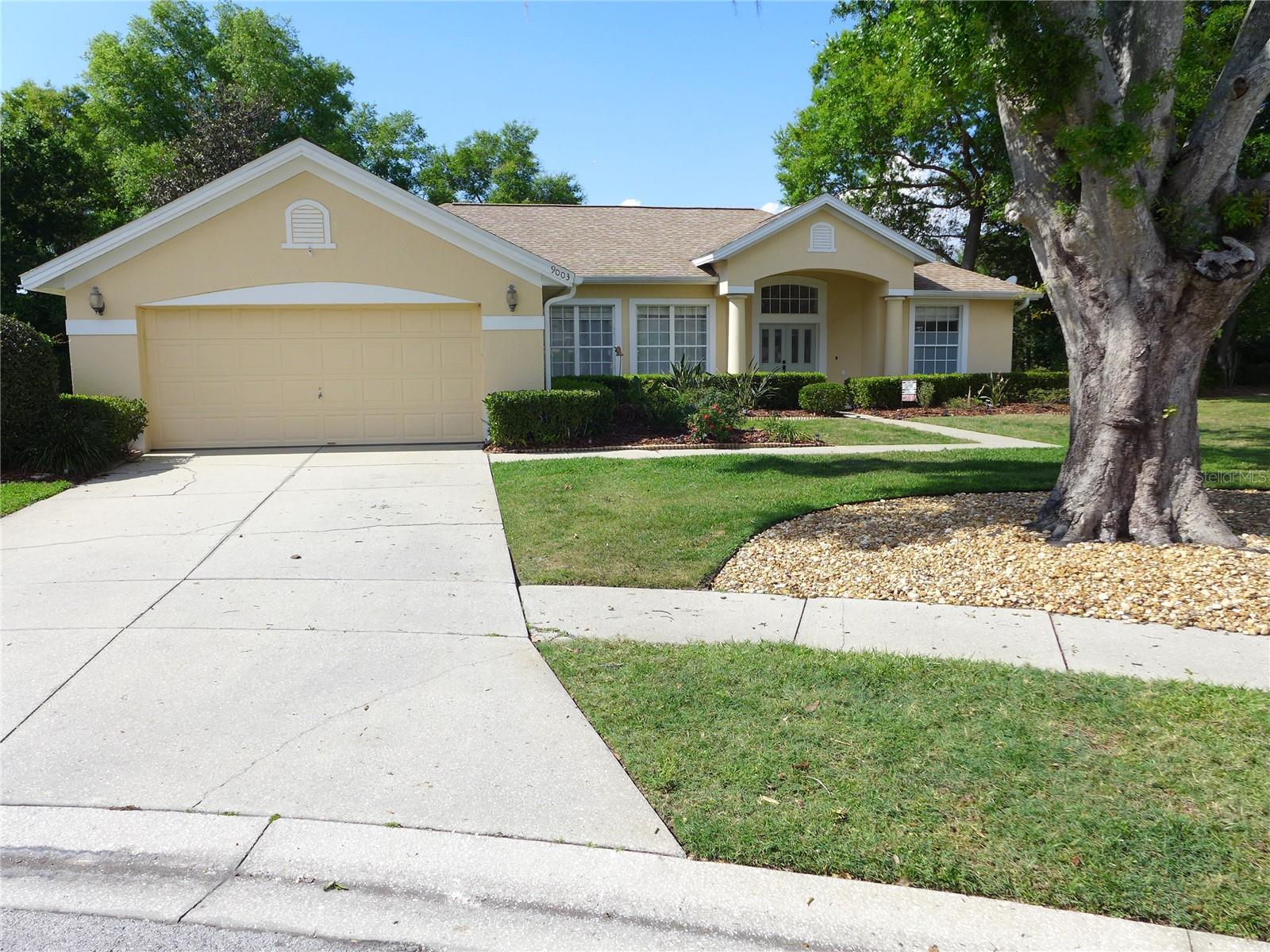 9003 OAKCREST CIR, MOUNT DORA, FL, 32757