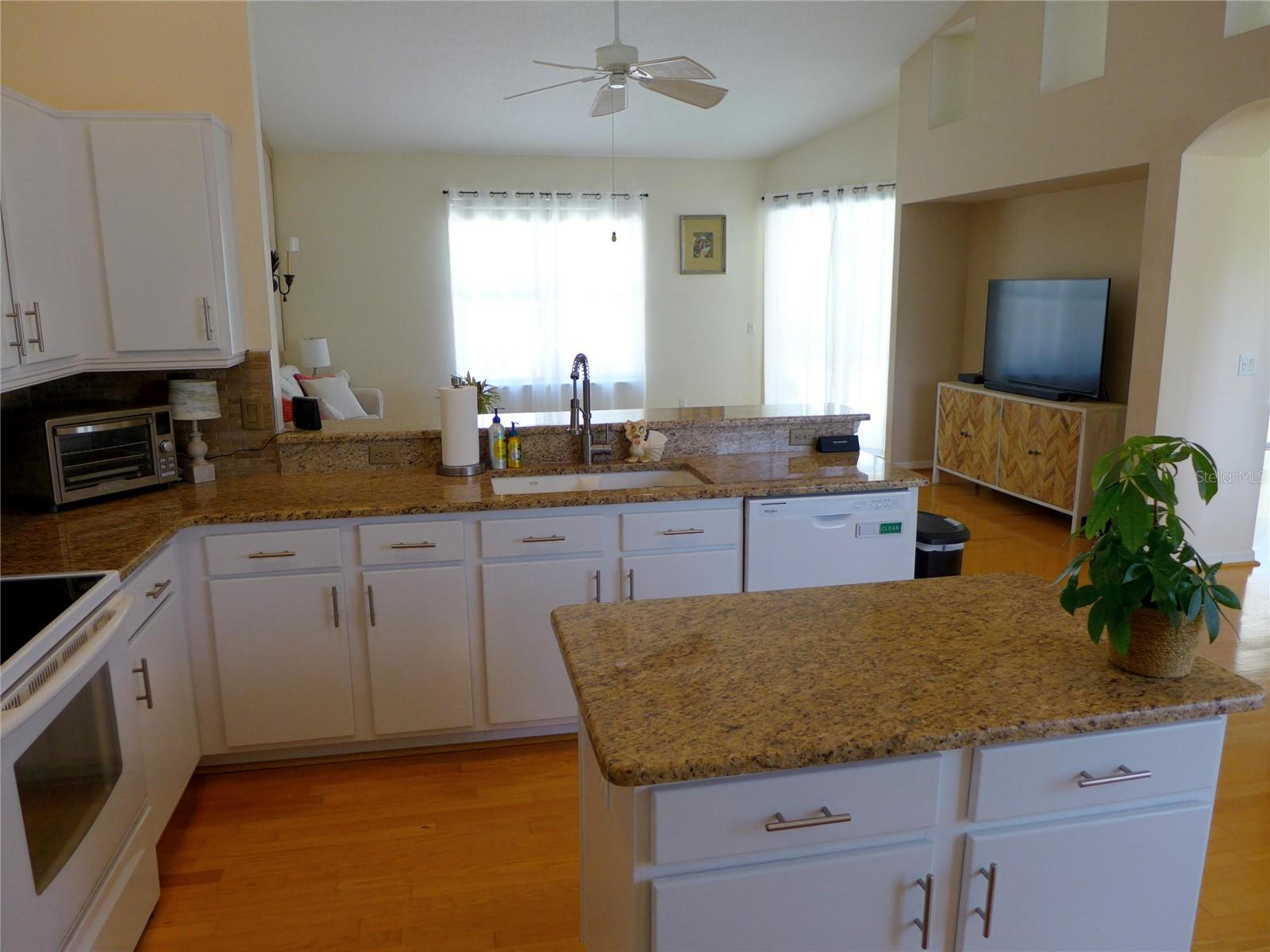 9003 OAKCREST CIR, MOUNT DORA, FL, 32757