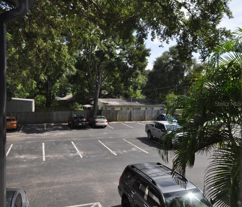 3914 NEPTUNE ST #1, TAMPA, FL, 33629