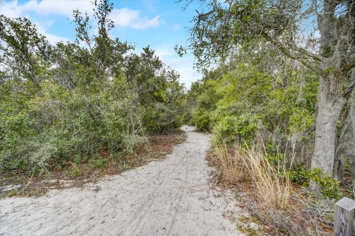 7233 BRANCHTREE DR, ORLANDO, FL, 32835