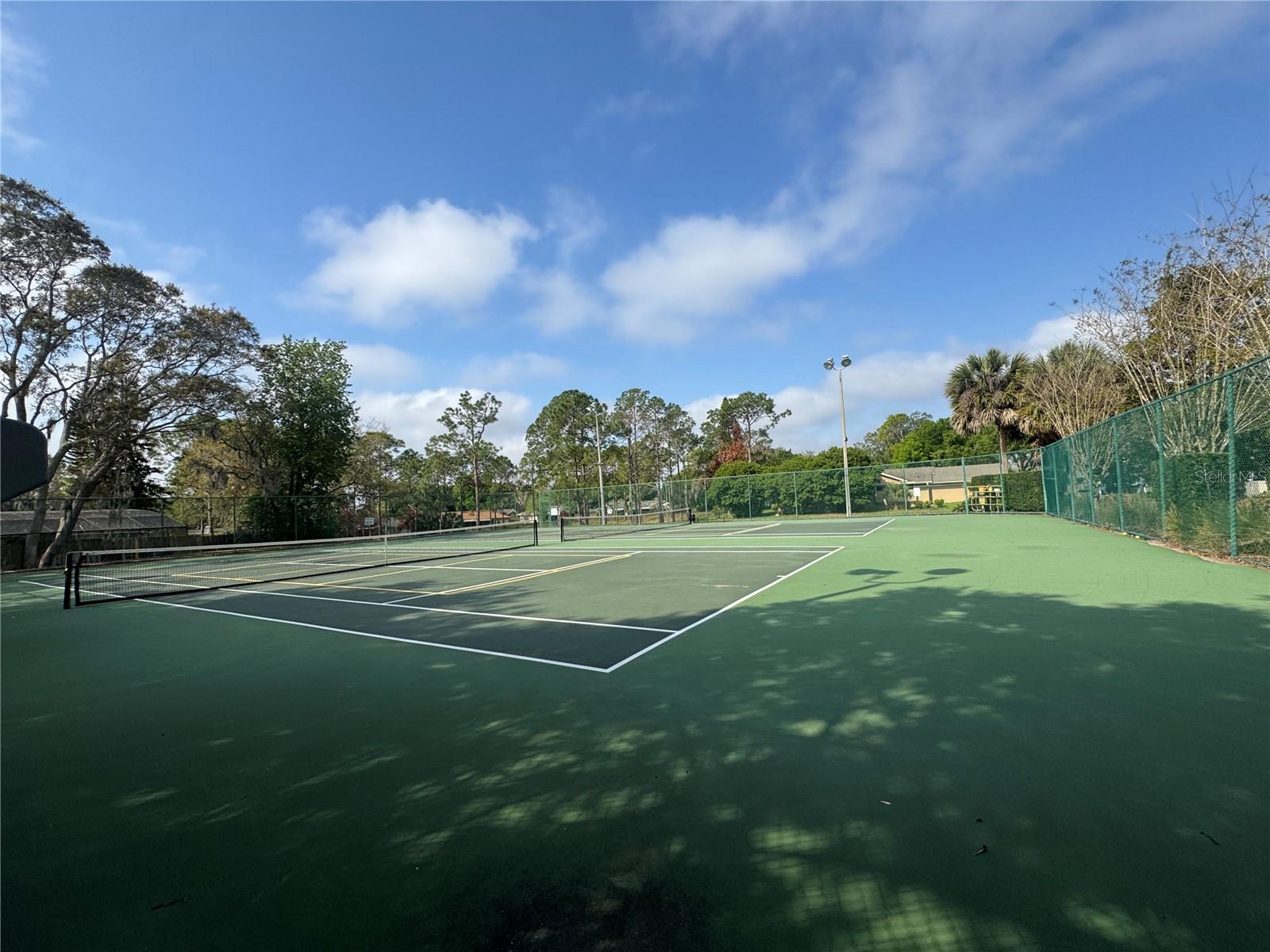 9237 SABAL PALM CIR, WINDERMERE, FL, 34786