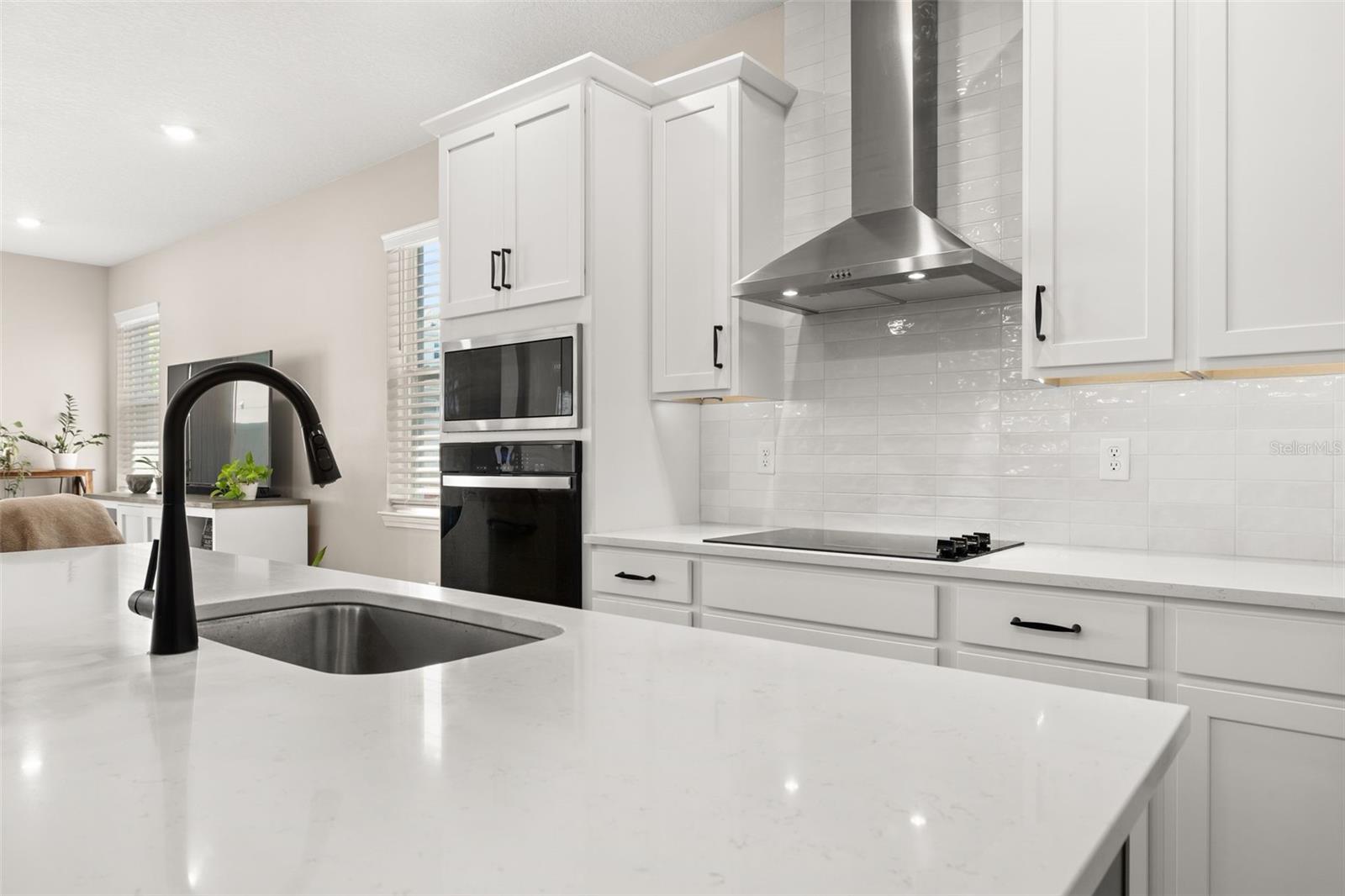 4542 LIONS GATE AVE, CLERMONT, FL, 34711