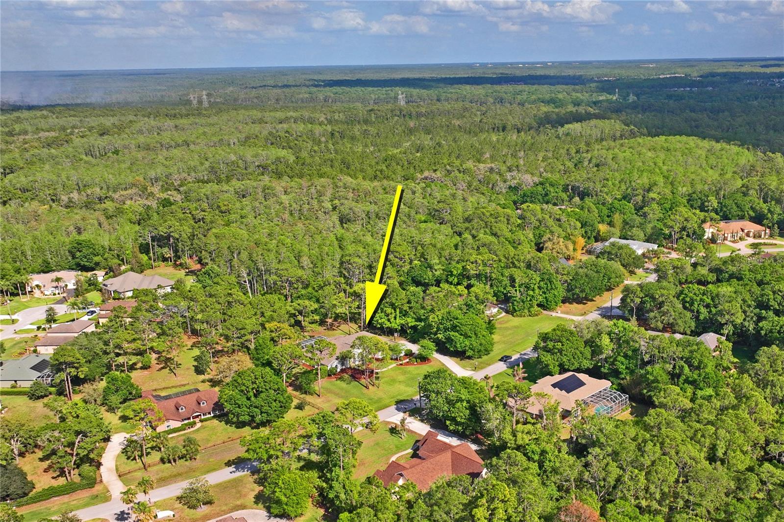 10801 ALICO PASS, NEW PORT RICHEY, FL, 34655