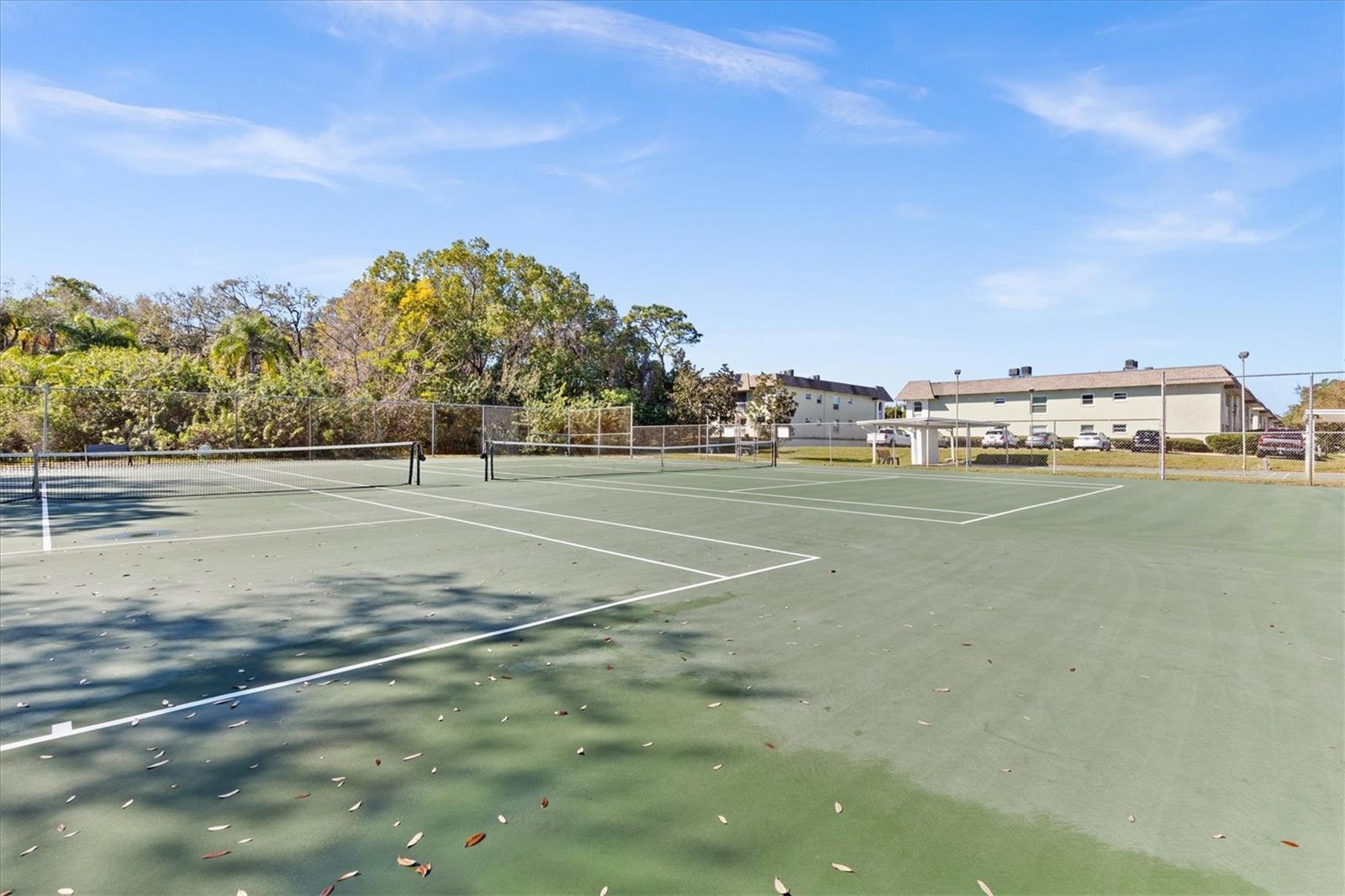 1250 S PINELLAS AVE #214, TARPON SPRINGS, FL, 34689