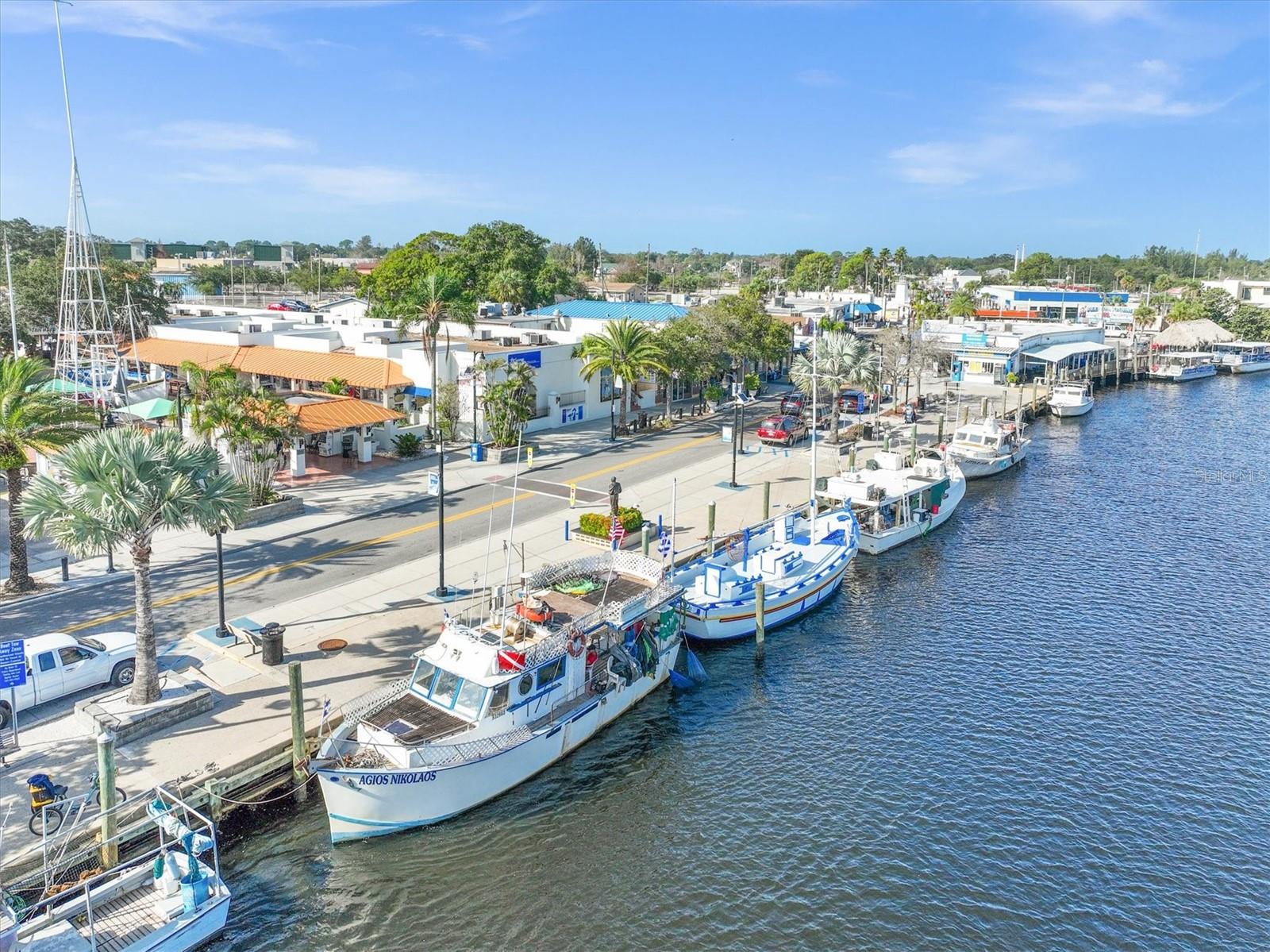 1250 S PINELLAS AVE #214, TARPON SPRINGS, FL, 34689