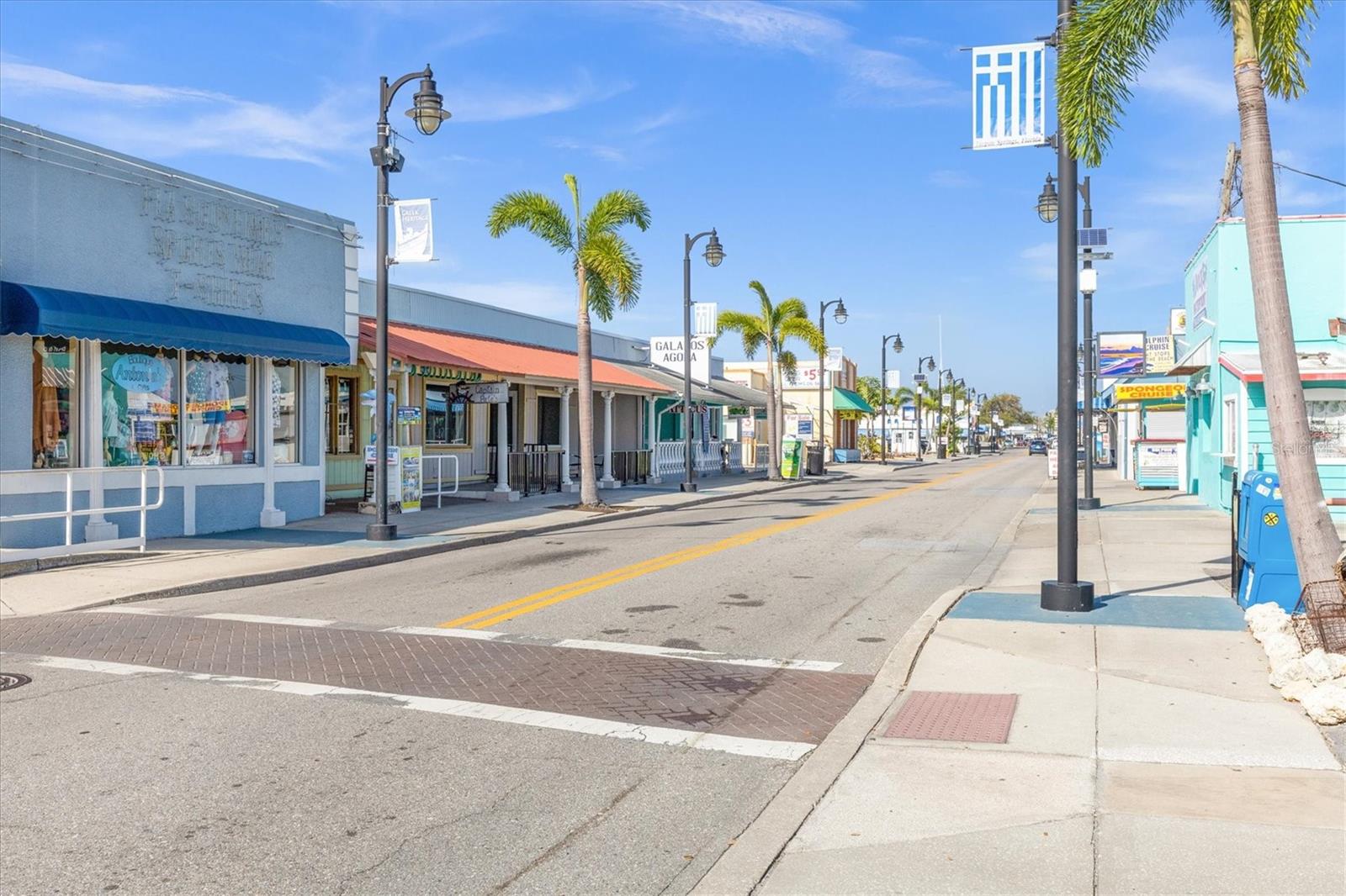 1250 S PINELLAS AVE #214, TARPON SPRINGS, FL, 34689