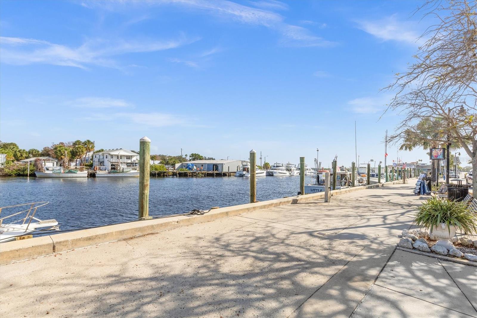 1250 S PINELLAS AVE #214, TARPON SPRINGS, FL, 34689