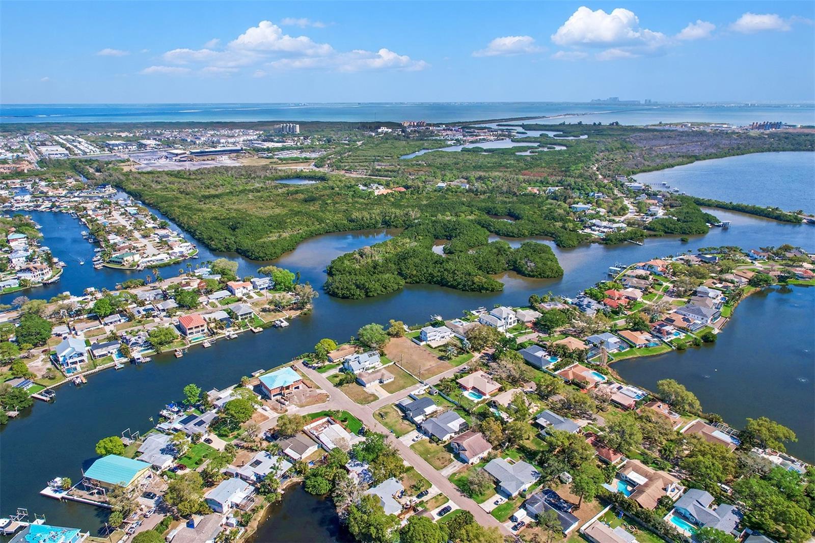 8751 ORIENT WAY NE, ST PETERSBURG, FL, 33702