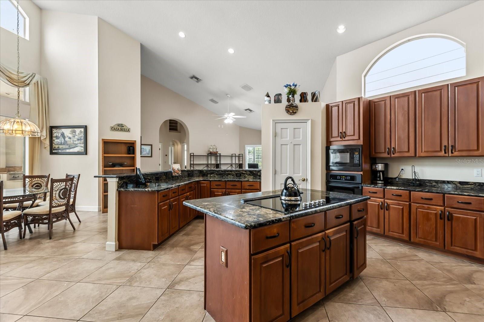 1036 GOLF VALLEY DR, APOPKA, FL, 32712