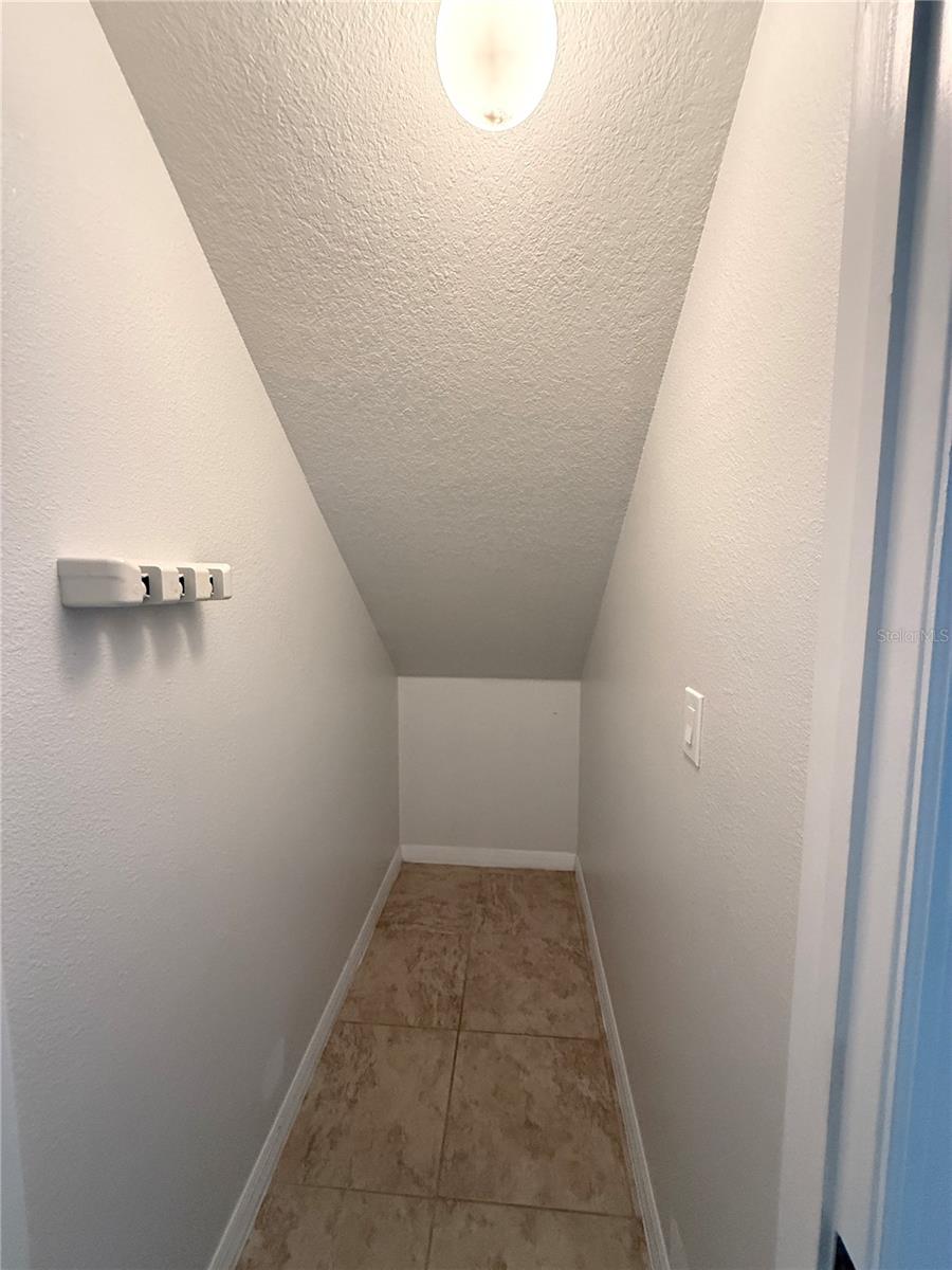 10415 BUTTERFLY WING CT, RIVERVIEW, FL, 33578